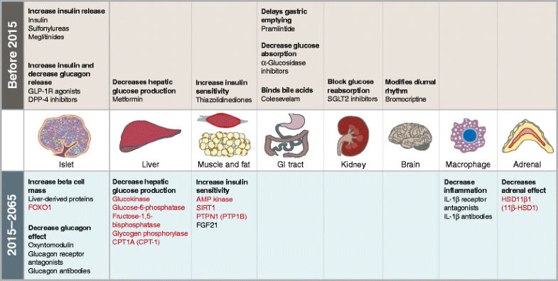 Medications for type 2 diabetes: how will we be treating patients in 50 ...