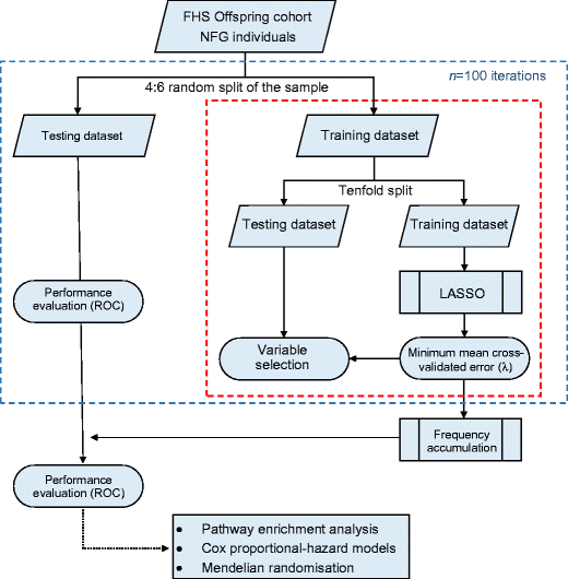 Type 1 Diabetes Pathophysiology Flow Chart