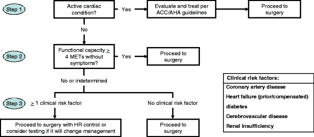 Preoperative cardiac risk assessment in geriatric patients with hip ...