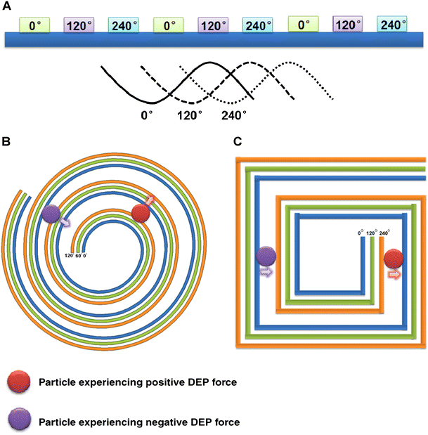 dielectrophoresis for manipulation of micro nano particles in dd form 2922