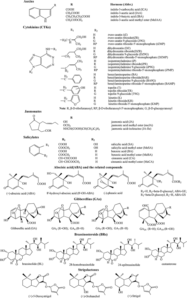 analytical methods for tracing plant hormones springerlink form 62 3r