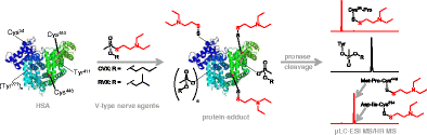 Graphical abstract