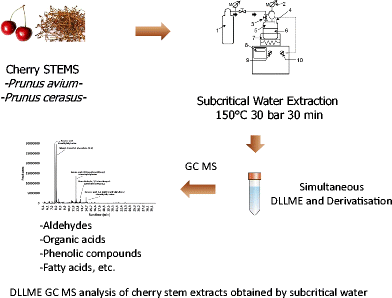 Graphical abstract