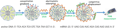 Graphical abstract