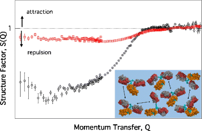 Graphical Abstract