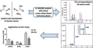 Graphical abstract