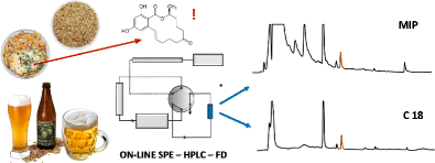 Graphical abstract