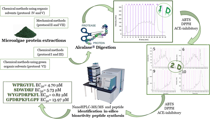 Graphical abstract