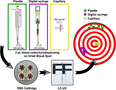 Graphical abstract