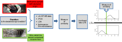 Graphical abstract