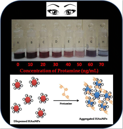 Graphical Abstract