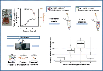 Graphical abstract