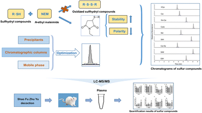 Graphical abstract