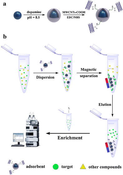 Graphical abstract