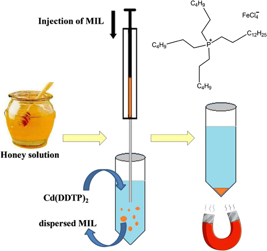 Graphical abstract