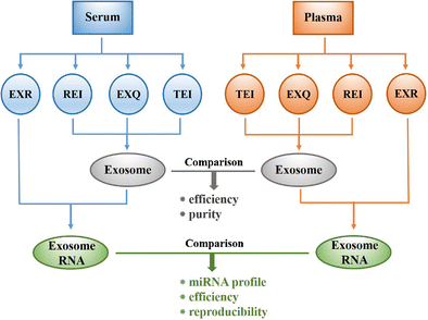 Graphical abstract