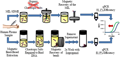 Graphical abstract