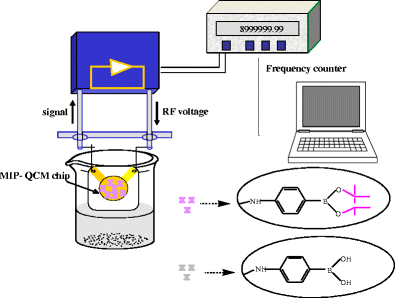 Graphical abstract