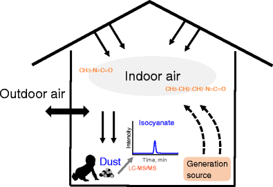 Graphical abstract