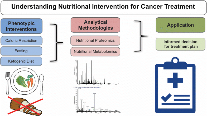 Graphical abstract