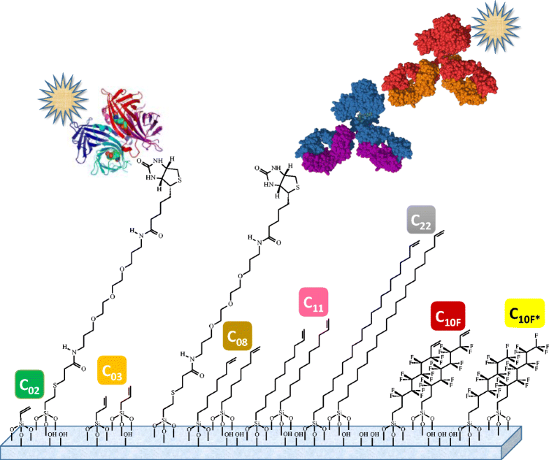 Graphical abstract