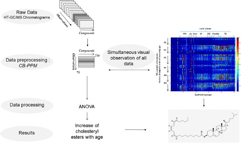 Graphical abstract