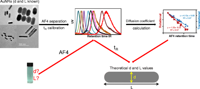 Graphical abstract