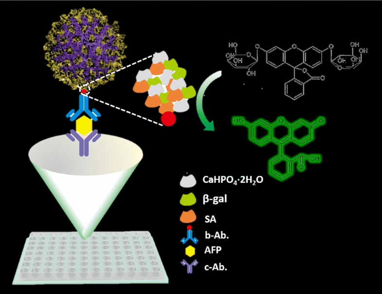 Graphical abstract