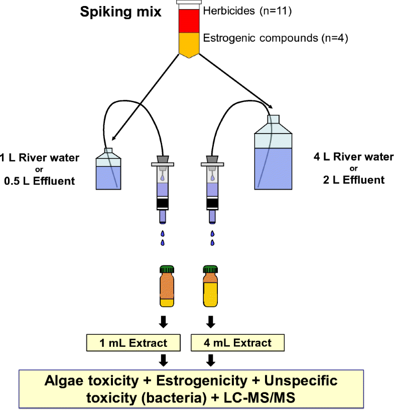 Graphical abstract