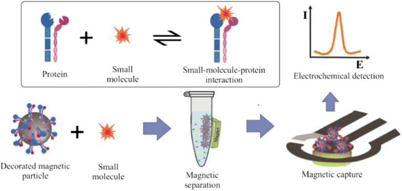 Graphical abstract