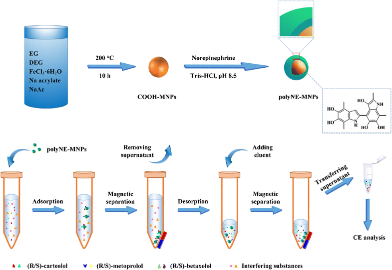 Graphical abstract