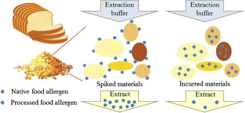 Graphical abstract