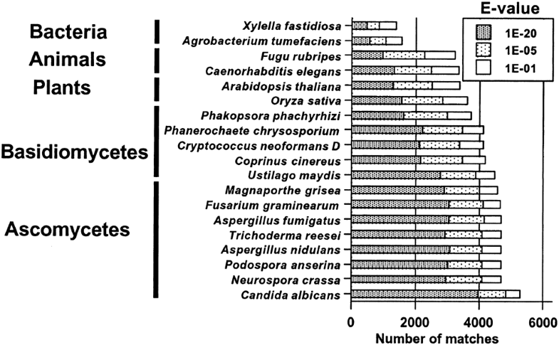 Comparison of the Yeast Proteome to Other Fungal Genomes to Find Core