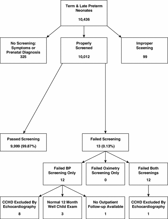 Cchd Screening Chart