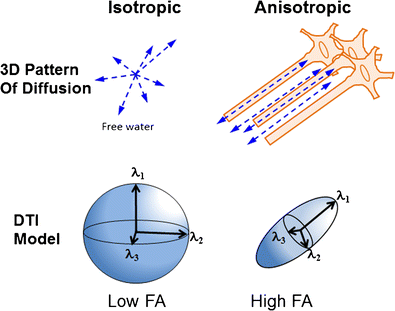 Review of diffusion tensor imaging and its application in children ...