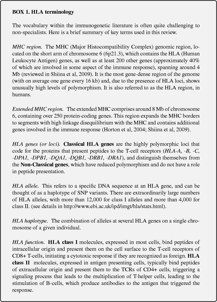 Hla Disease Association Chart