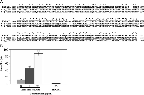 helicoverpa armigera cadherin fragment enhances cry1ac insecticidal fs form 1455