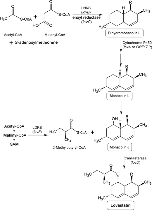 Modafinil and zoloft Modafinil and zoloft