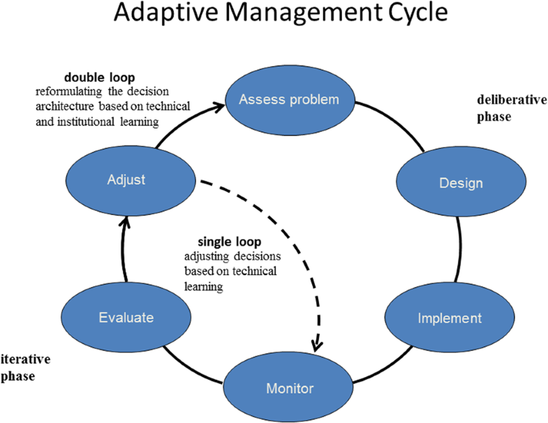 Single-loop and double-loop models in research on decision making