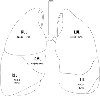 Lung Nodule Size Chart