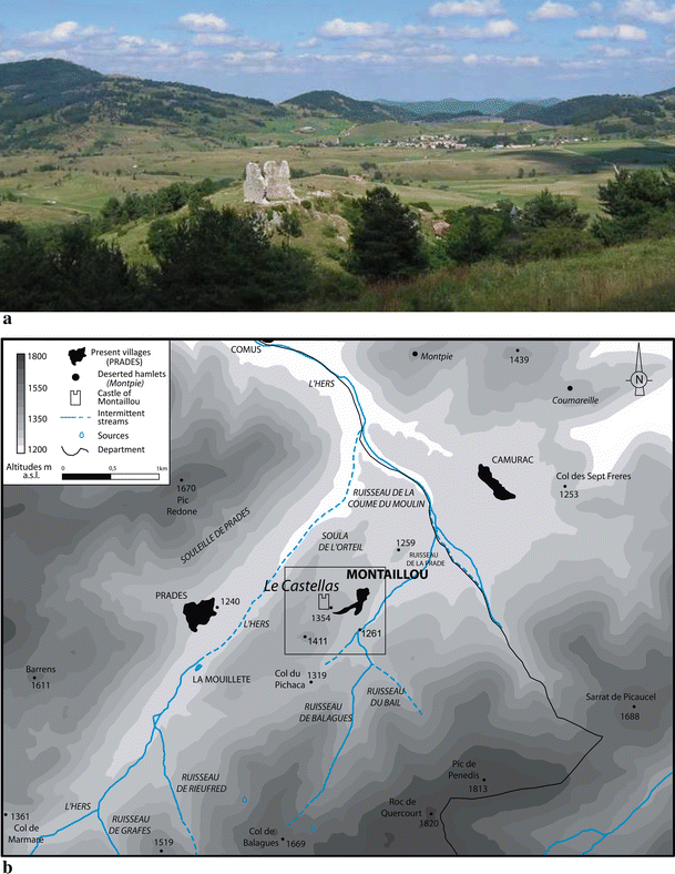 The First Archaeobotanical Evidence Of Spinacia Oleracea L