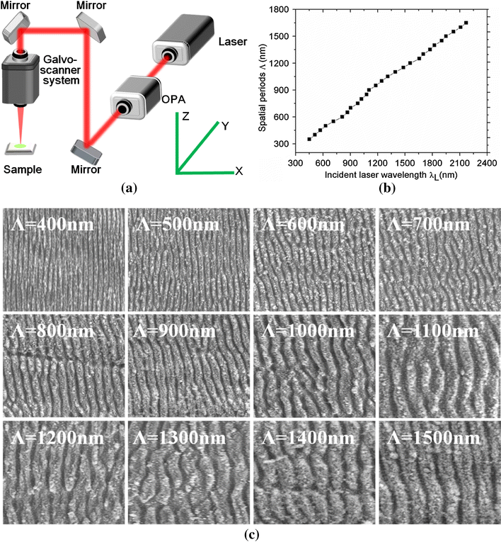Femtosecond laser color marking stainless steel surface with different