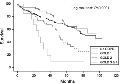 Impact of chronic obstructive pulmonary disease severity 