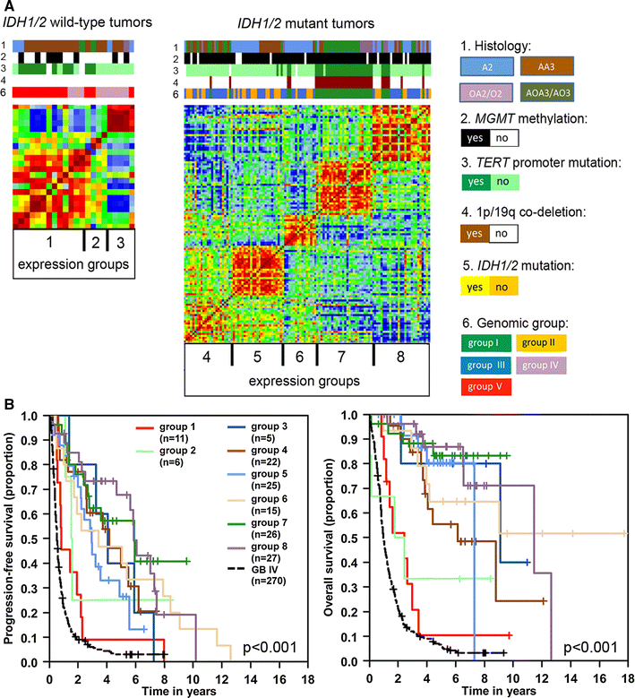 Molecular classification of diffuse cerebral WHO grade II/III gliomas