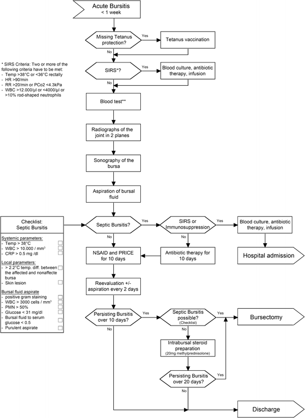 Types of bursitis image