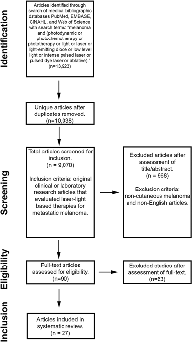the introduction of argumentative essay unity