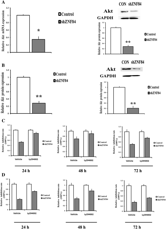 increased znf84 expression in cervical cancer springerlink open image in new window