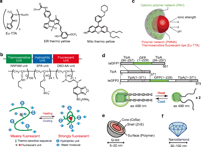 Intracellular thermometry with fluorescent sensors for thermal biology