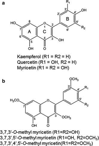 Characterization Of A Flavonol 3 O Methyltransferase In The