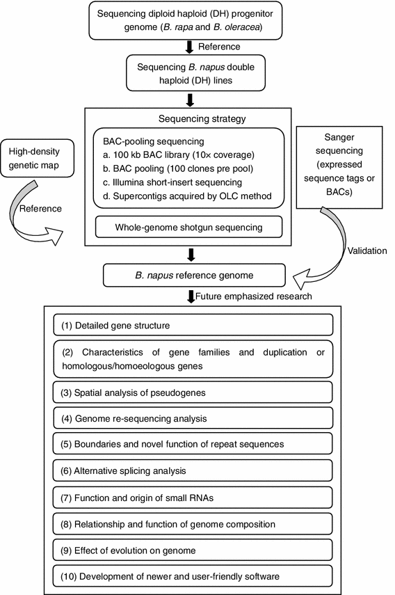 Applications And Challenges Of Next Generation Sequencing In - 